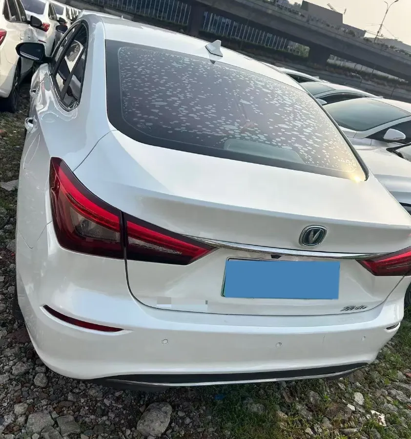 2019 ChangAn Eado BEV 52.56KWH,autocango,china used car exporter,china ev exporter,chinese used car exporter,chinese used ev exporter