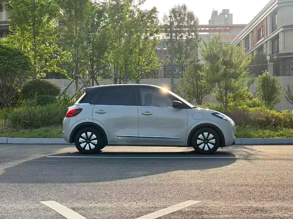 2024 WuLing BinGuo BEV 31.9KWH,autocango,china used car exporter,china ev exporter,chinese used car exporter,chinese used ev exporter