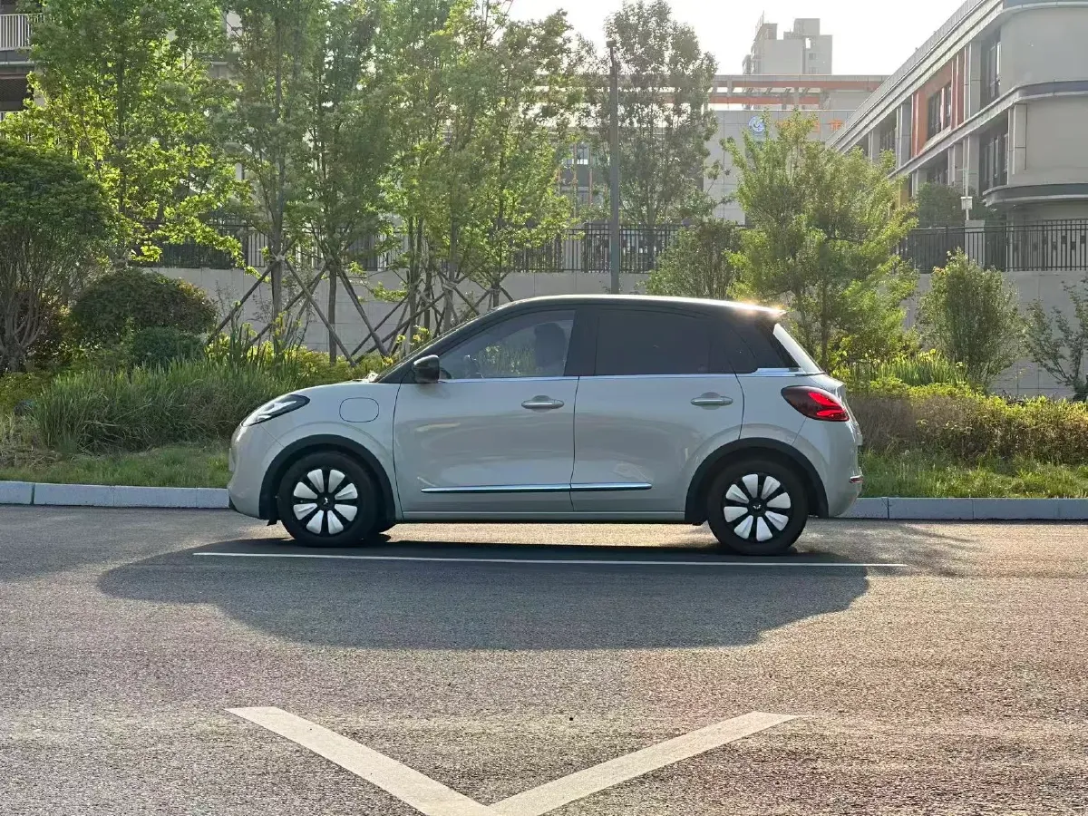 2024 WuLing BinGuo BEV 31.9KWH,autocango,china used car exporter,china ev exporter,chinese used car exporter,chinese used ev exporter