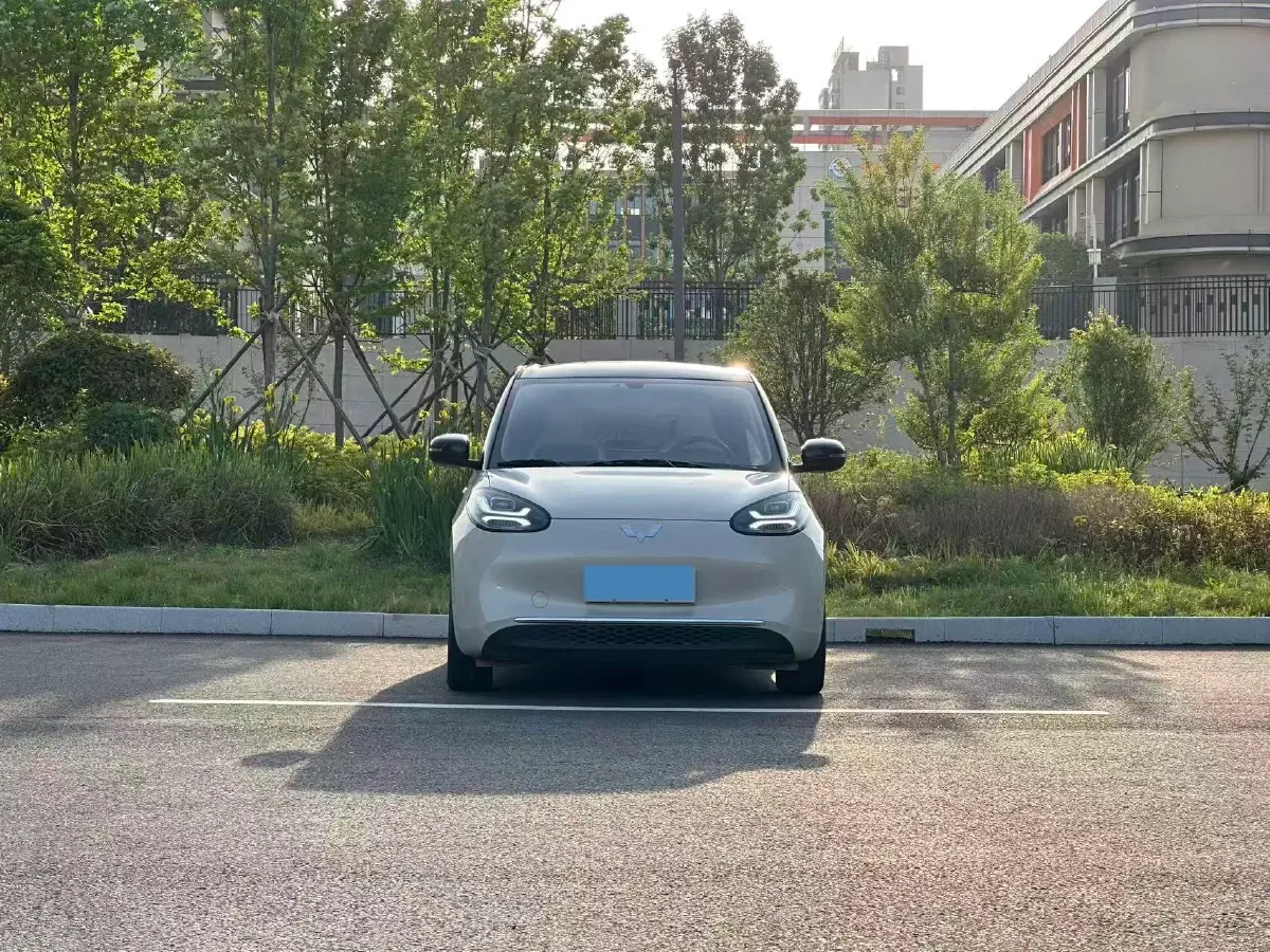2024 WuLing BinGuo BEV 31.9KWH,autocango,china used car exporter,china ev exporter,chinese used car exporter,chinese used ev exporter