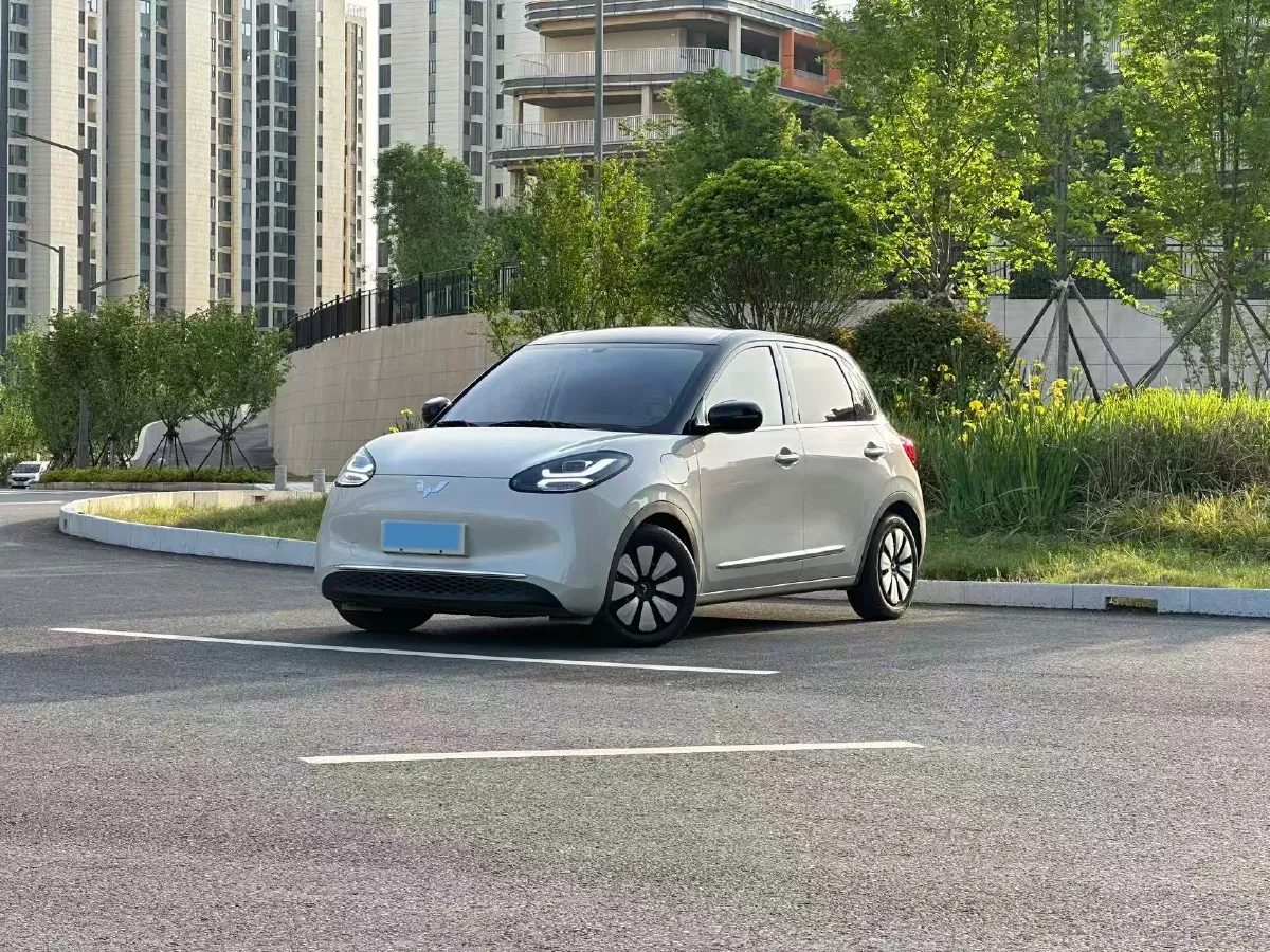 2024 WuLing BinGuo BEV 31.9KWH,autocango,china used car exporter,china ev exporter,chinese used car exporter,chinese used ev exporter