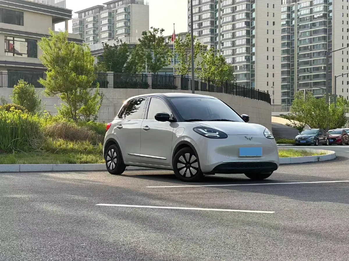 2024 WuLing BinGuo BEV 31.9KWH,autocango,china used car exporter,china ev exporter,chinese used car exporter,chinese used ev exporter