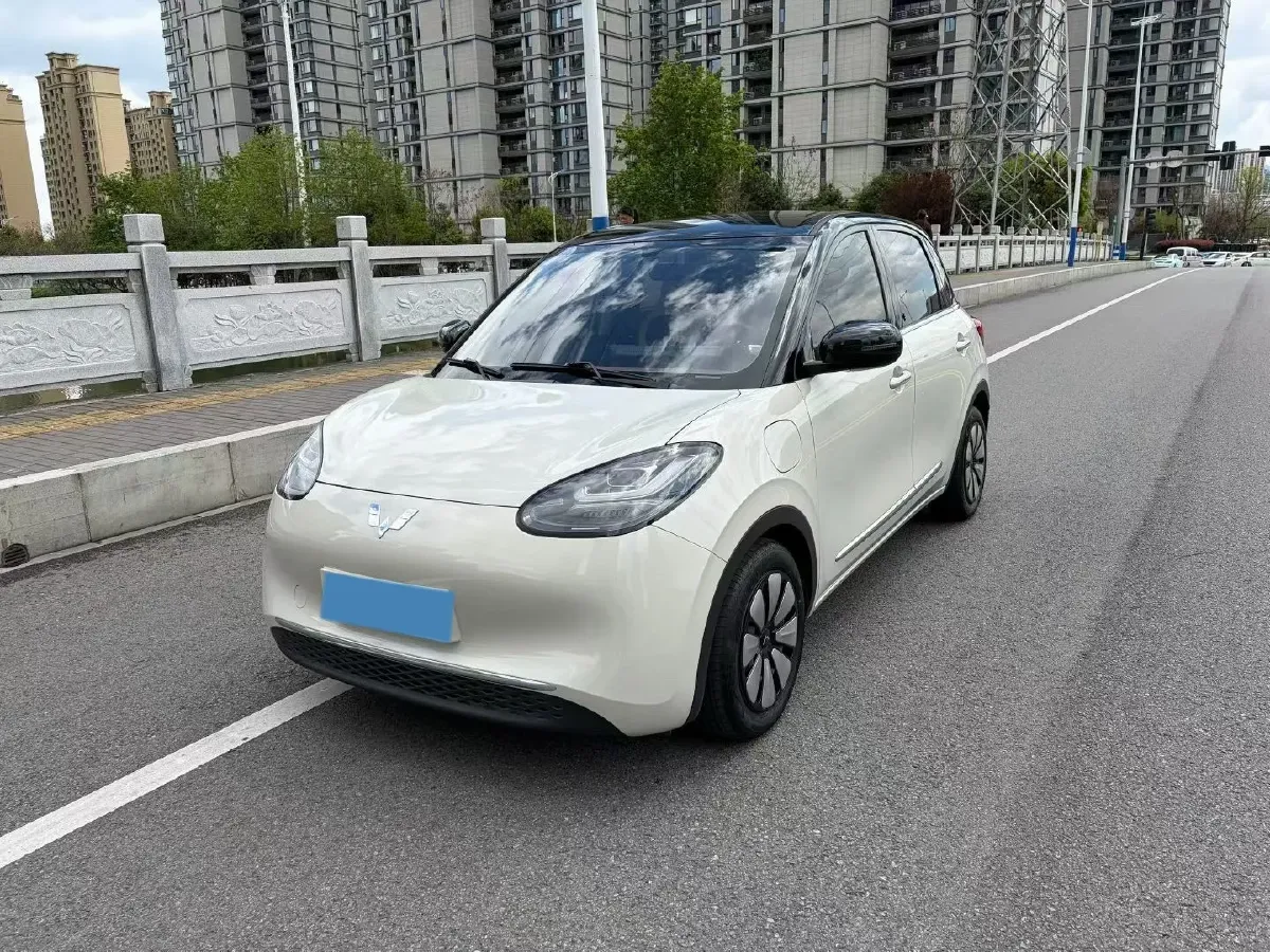 2024 WuLing BinGuo BEV 31.9KWH,autocango,china used car exporter,china ev exporter,chinese used car exporter,chinese used ev exporter