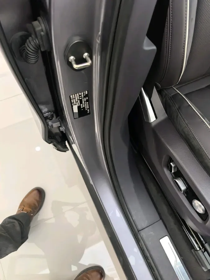 2021 HongQi E-HS9 BEV 84KWH,autocango,china used car exporter,china ev exporter,chinese used car exporter,chinese used ev exporter