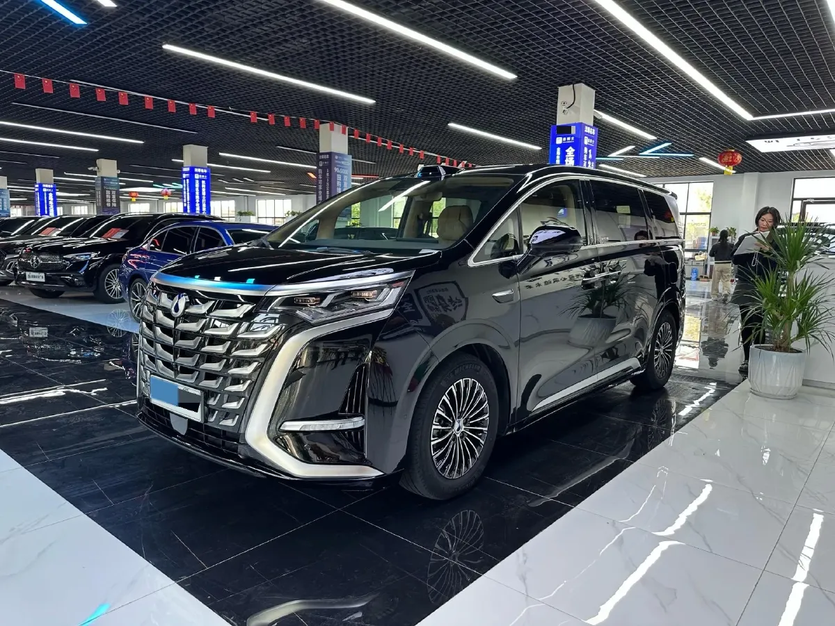 2024 Denza D9 1.5T 139HP L4 E-CVT PHEV 40KWH,autocango,china used car exporter,china ev exporter,chinese used car exporter,chinese used ev exporter