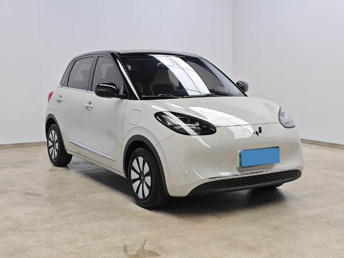 2023 WuLing BinGuo BEV 31.9KWH,autocango,china used car exporter,china ev exporter,chinese used car exporter,chinese used ev exporter