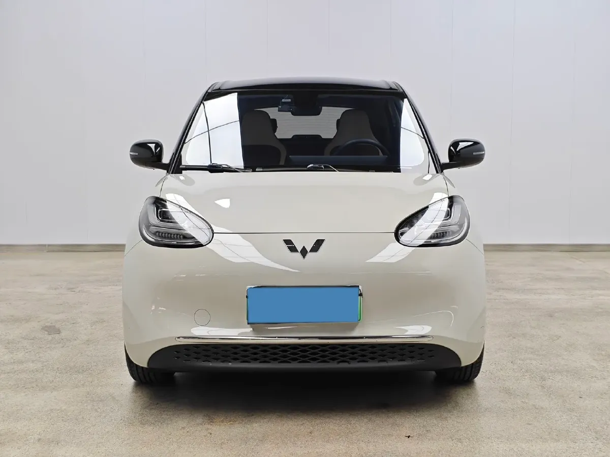 2023 WuLing BinGuo BEV 31.9KWH,autocango,china used car exporter,china ev exporter,chinese used car exporter,chinese used ev exporter