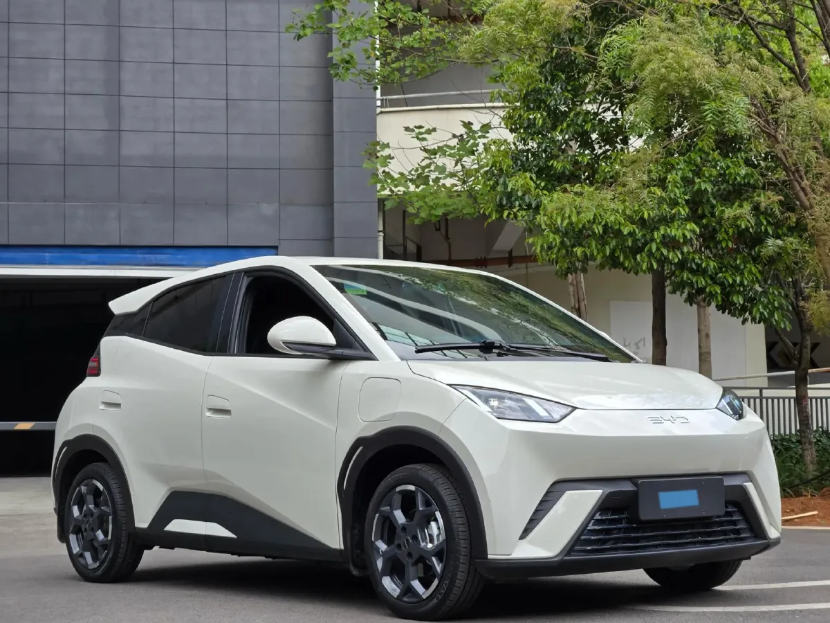 2024 BYD Seagull BEV 38.88KWH,autocango,china used car exporter,china ev exporter,chinese used car exporter,chinese used ev exporter