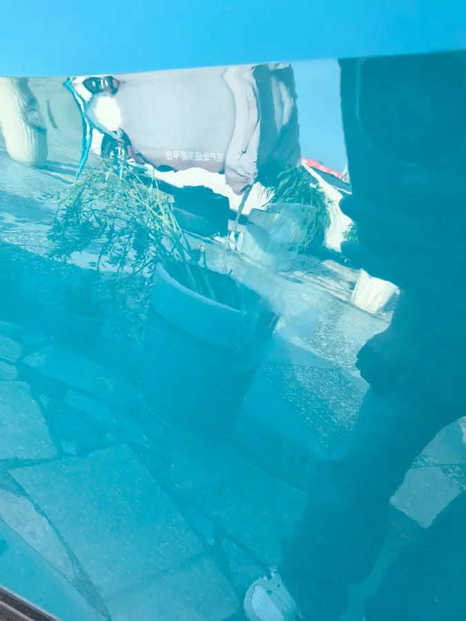 2021 Audi Q2L 1.4T 150HP L4 7DCT,autocango,china used car exporter,china ev exporter,chinese used car exporter,chinese used ev exporter