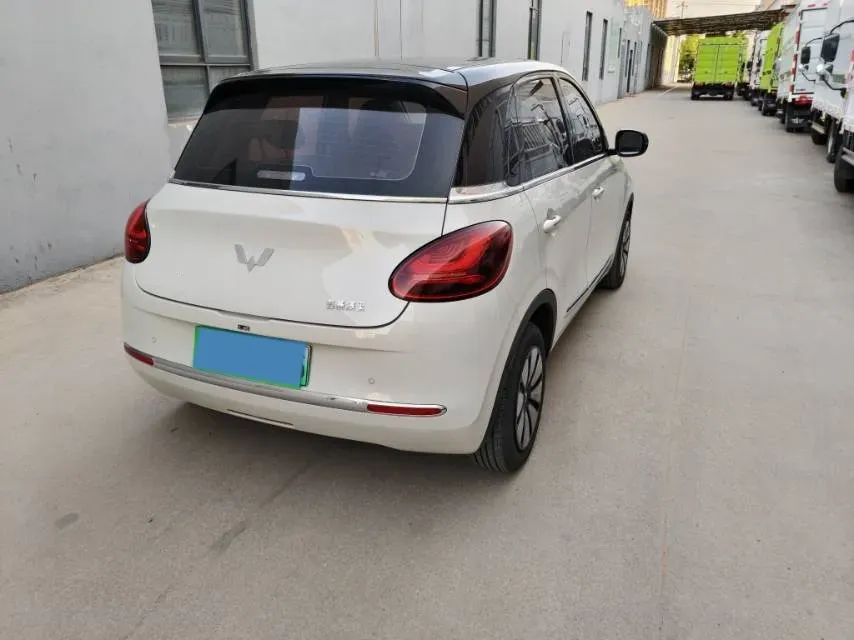 2023 WuLing BinGuo BEV 37.9KWH,autocango,china used car exporter,china ev exporter,chinese used car exporter,chinese used ev exporter