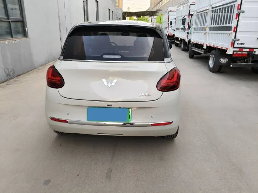 2023 WuLing BinGuo BEV 37.9KWH,autocango,china used car exporter,china ev exporter,chinese used car exporter,chinese used ev exporter