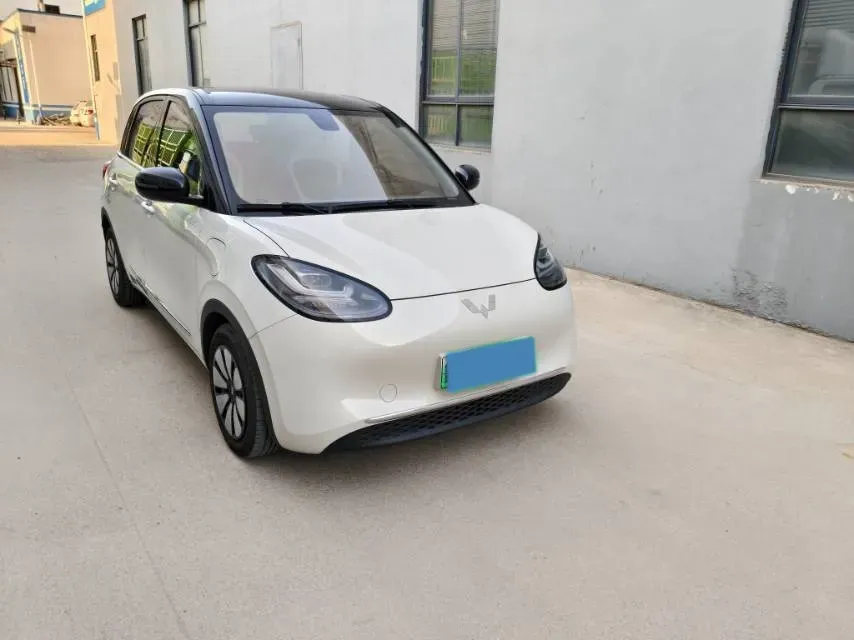 2023 WuLing BinGuo BEV 37.9KWH,autocango,china used car exporter,china ev exporter,chinese used car exporter,chinese used ev exporter