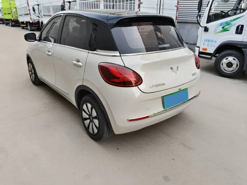 2023 WuLing BinGuo BEV 37.9KWH,autocango,china used car exporter,china ev exporter,chinese used car exporter,chinese used ev exporter