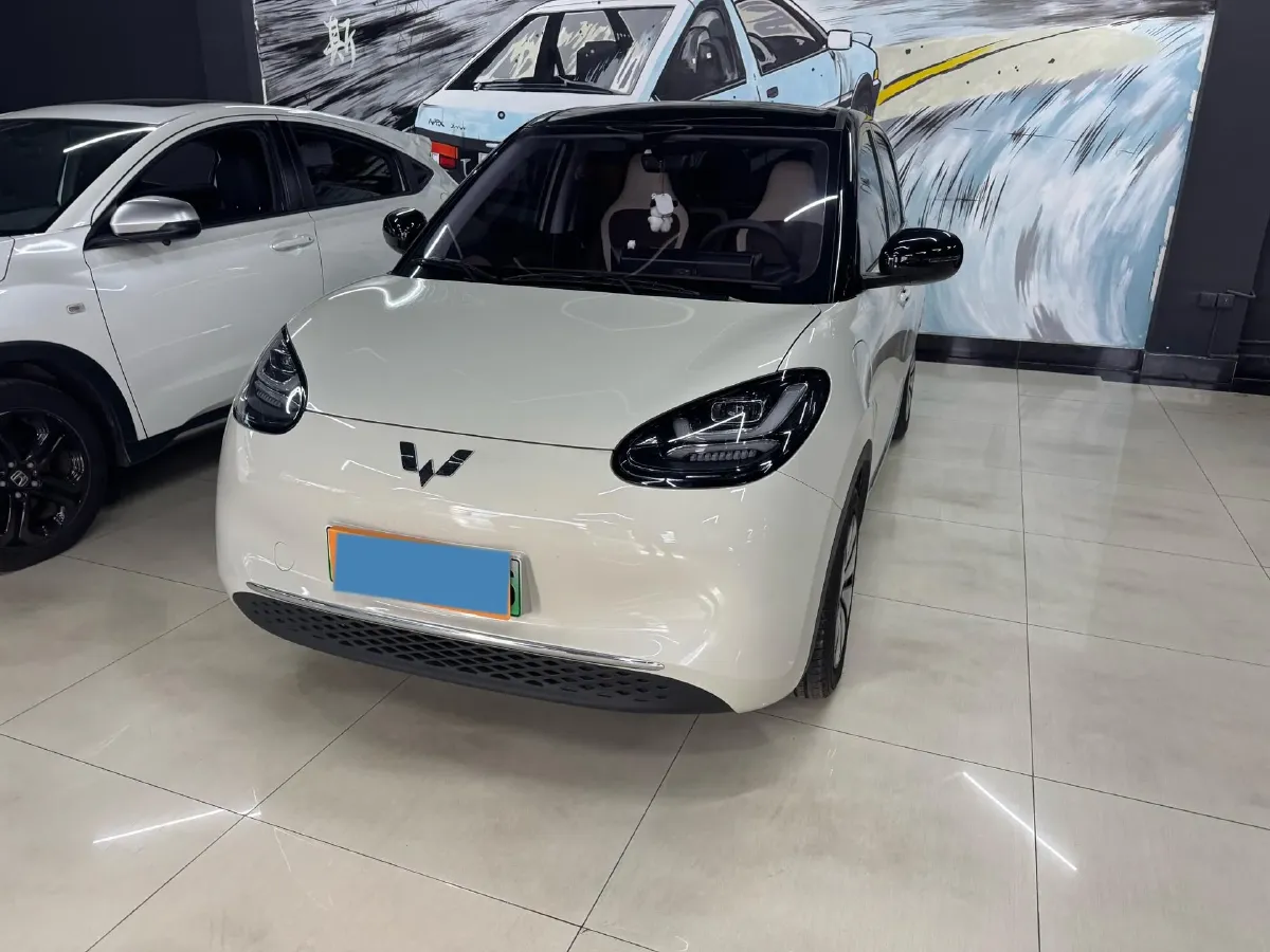 2023 WuLing BinGuo BEV 31.9KWH,autocango,china used car exporter,china ev exporter,chinese used car exporter,chinese used ev exporter