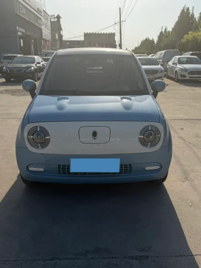 2021 Ora BlackCat BEV 28.5KWH,autocango,china used car exporter,china ev exporter,chinese used car exporter,chinese used ev exporter