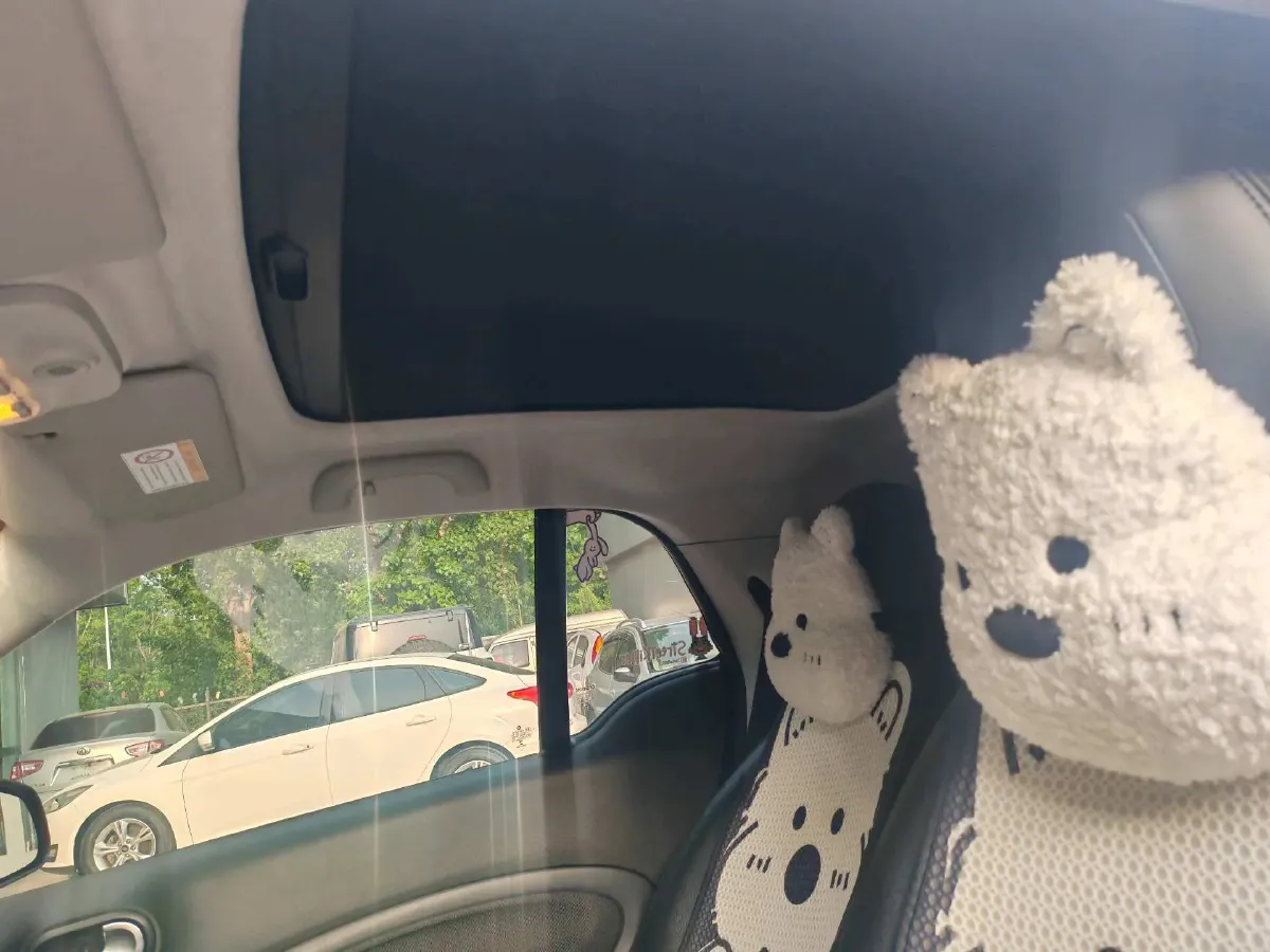 2017 Smart smart fortwo 1.0L 71HP L3 6DCT,autocango,china used car exporter,china ev exporter,chinese used car exporter,chinese used ev exporter