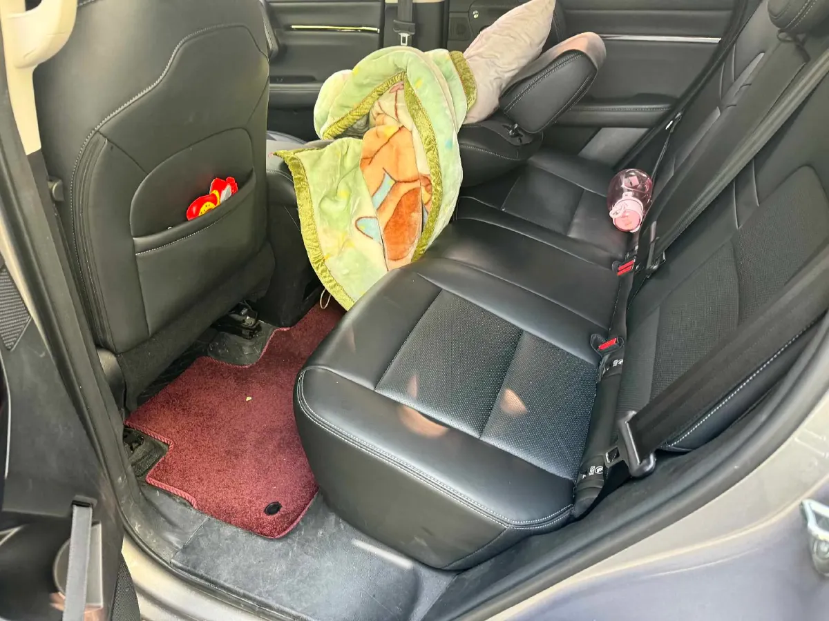 2023 Haval Dargo 1.5T 154HP L4 2DHT PHEV 19.94KWH,autocango,china used car exporter,china ev exporter,chinese used car exporter,chinese used ev exporter