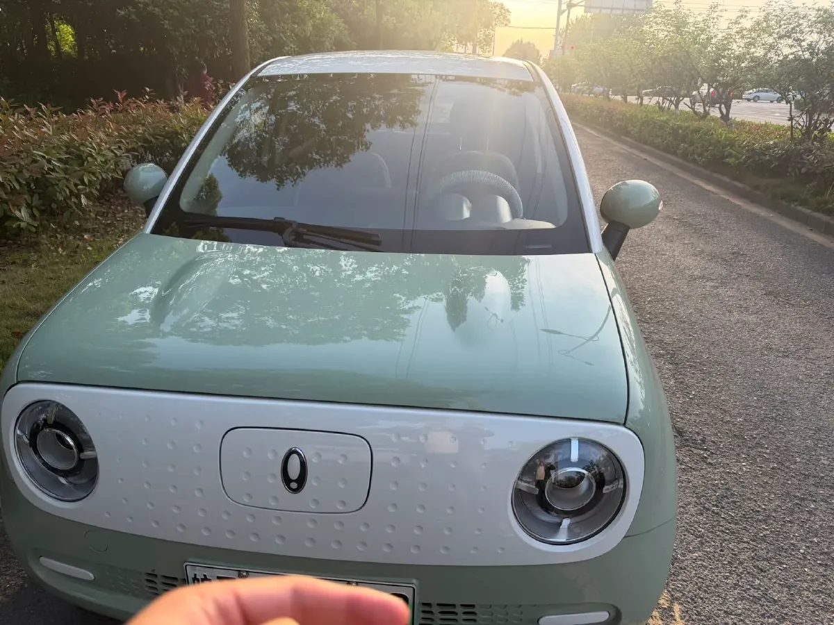 2021 Ora BlackCat BEV 28.5KWH,autocango,china used car exporter,china ev exporter,chinese used car exporter,chinese used ev exporter