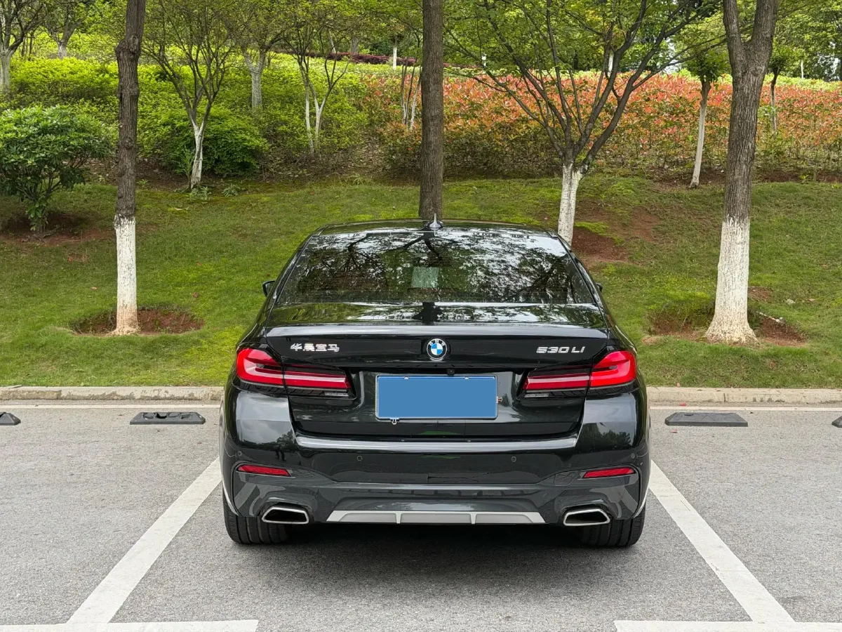 2023 BMW 5 Series 2.0T 245HP L4 8AT,autocango,china used car exporter,china ev exporter,chinese used car exporter,chinese used ev exporter