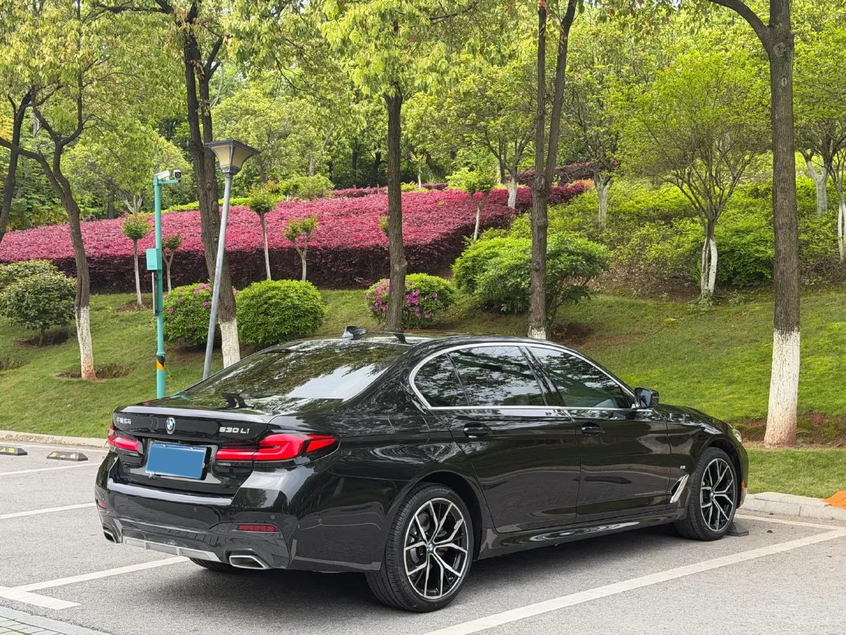 2023 BMW 5 Series 2.0T 245HP L4 8AT,autocango,china used car exporter,china ev exporter,chinese used car exporter,chinese used ev exporter