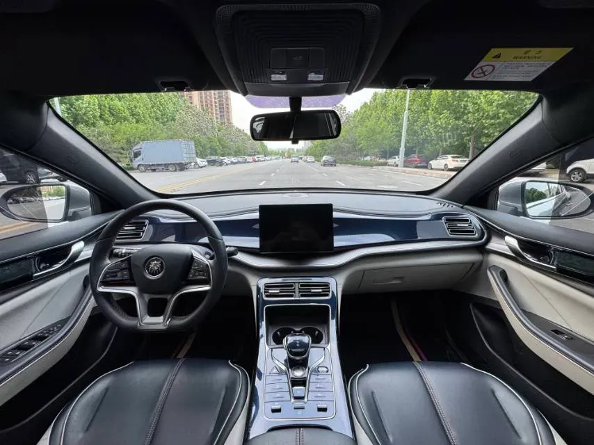 2021 DongFeng FuKang e Elysee BEV 30.7KWH,autocango,china used car exporter,china ev exporter,chinese used car exporter,chinese used ev exporter