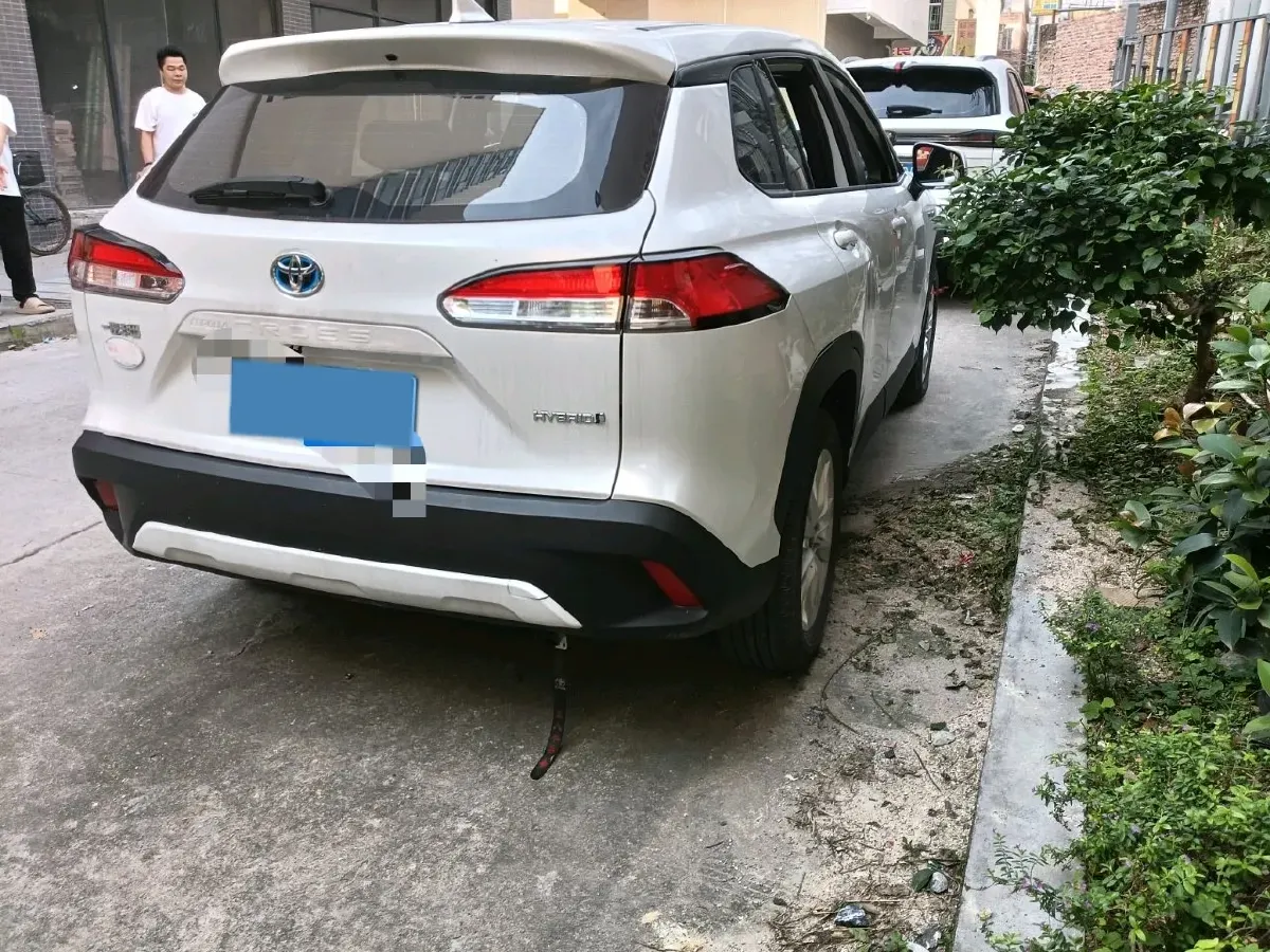 2023 Toyota Corolla Cross 2.0L 152HP L4 E-CVT Hybrid,autocango,china used car exporter,china ev exporter,chinese used car exporter,chinese used ev exporter