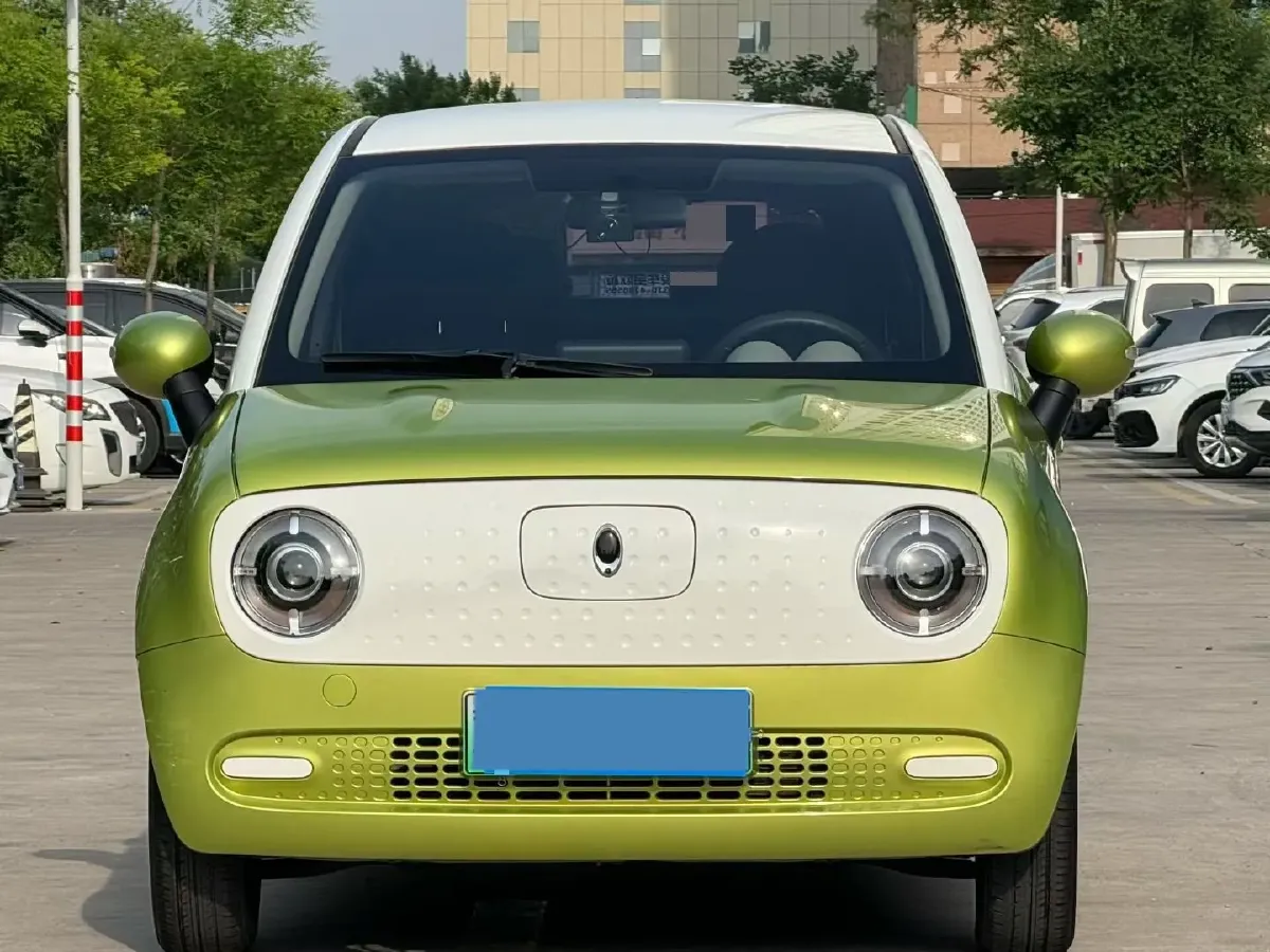 2019 Ora BlackCat BEV 28.5KWH,autocango,china used car exporter,china ev exporter,chinese used car exporter,chinese used ev exporter