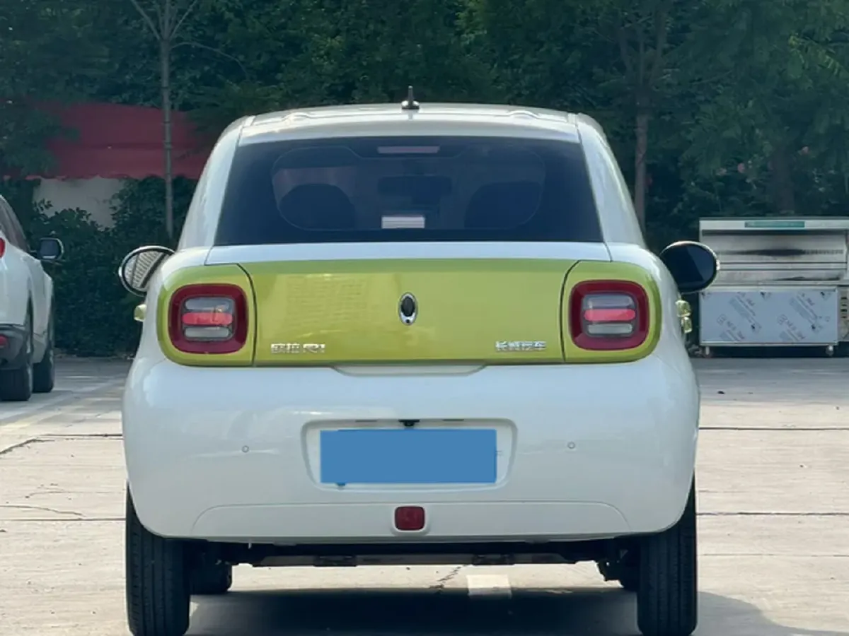 2019 Ora BlackCat BEV 28.5KWH,autocango,china used car exporter,china ev exporter,chinese used car exporter,chinese used ev exporter