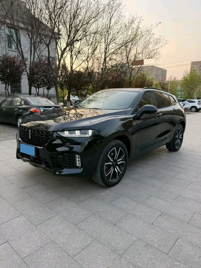 2017 WEY VV7 2.0T 234HP L4 7DCT,autocango,china used car exporter,china ev exporter,chinese used car exporter,chinese used ev exporter