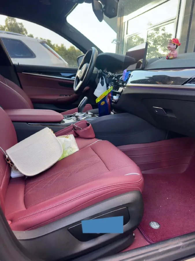 2021 BMW 5 Series 2.0T 184HP L4 8AT,autocango,china used car exporter,china ev exporter,chinese used car exporter,chinese used ev exporter