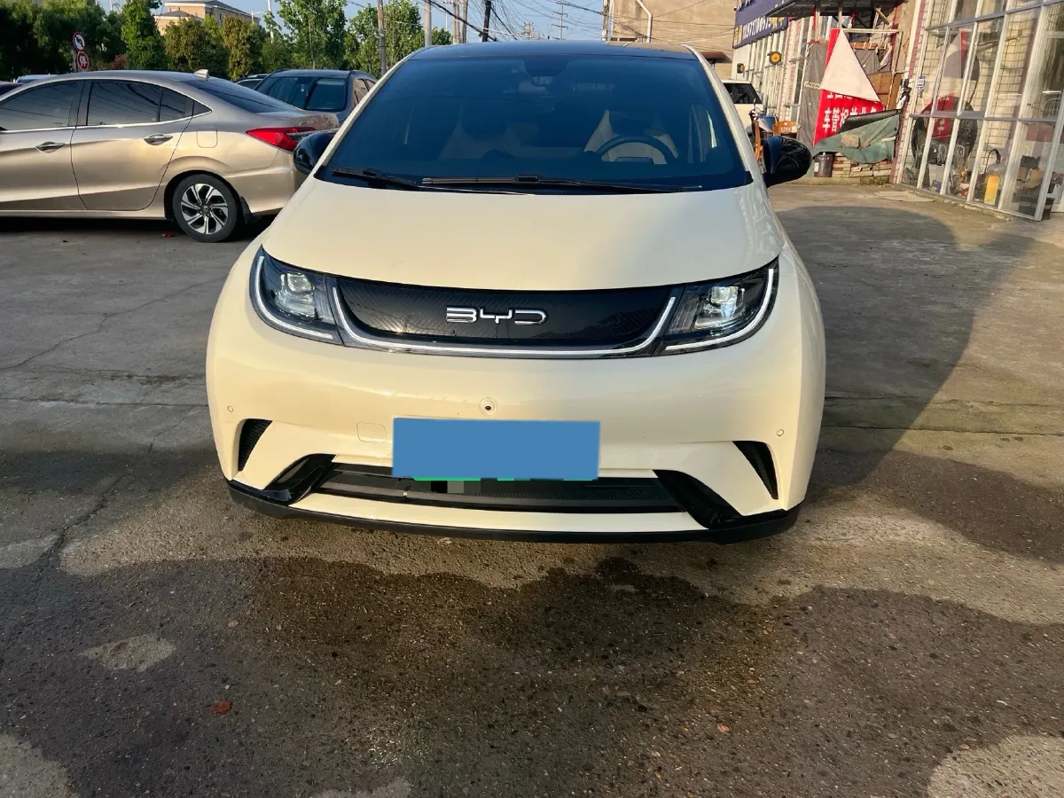 2023 BYD Dolphin BEV 44.928KWH,autocango,china used car exporter,china ev exporter,chinese used car exporter,chinese used ev exporter