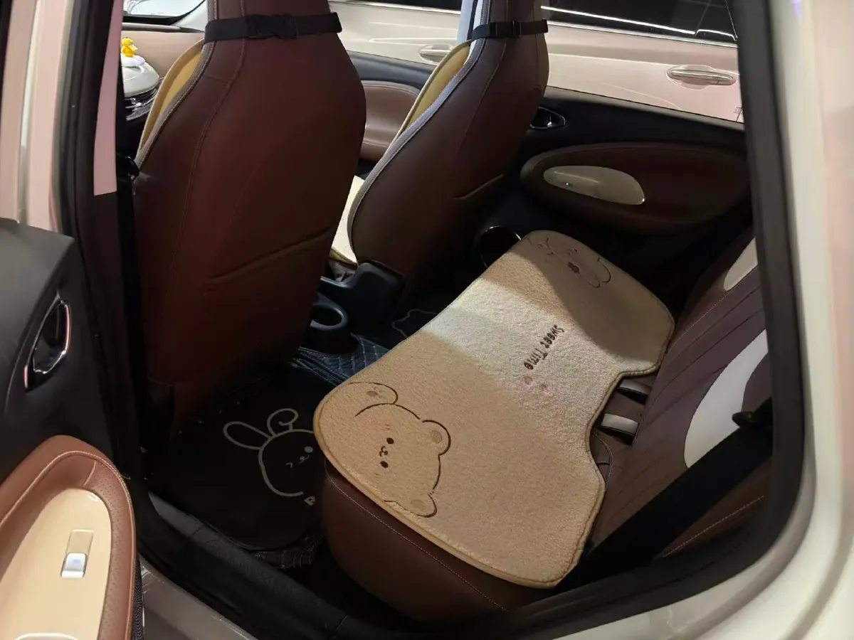 2023 WuLing BinGuo BEV 31.9KWH,autocango,china used car exporter,china ev exporter,chinese used car exporter,chinese used ev exporter