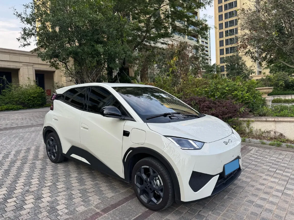 2025 BYD Seagull BEV 30.08KWH,autocango,china used car exporter,china ev exporter,chinese used car exporter,chinese used ev exporter
