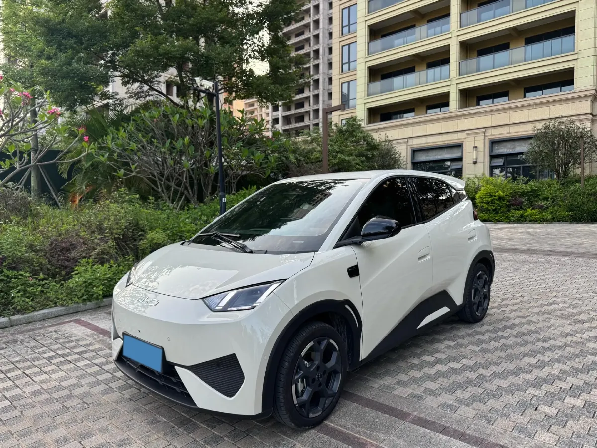 2025 BYD Seagull BEV 30.08KWH,autocango,china used car exporter,china ev exporter,chinese used car exporter,chinese used ev exporter
