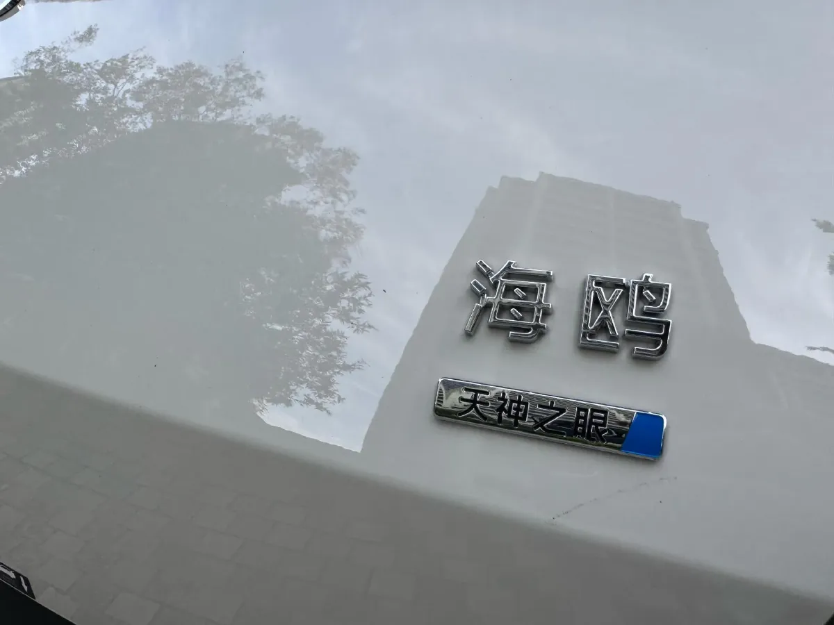 2025 BYD Seagull BEV 30.08KWH,autocango,china used car exporter,china ev exporter,chinese used car exporter,chinese used ev exporter