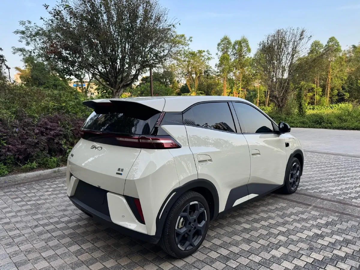 2025 BYD Seagull BEV 30.08KWH,autocango,china used car exporter,china ev exporter,chinese used car exporter,chinese used ev exporter