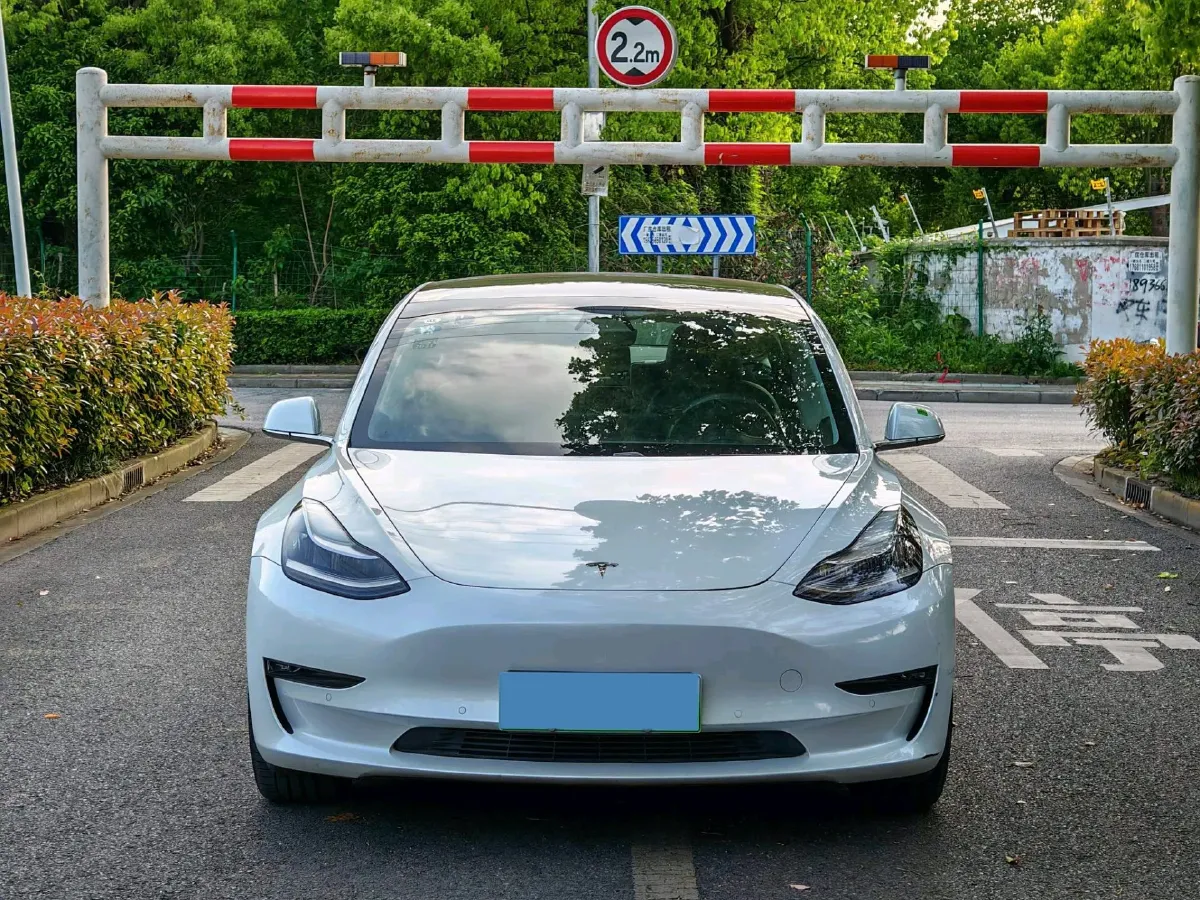 2019 Tesla Model 3 BEV 81KWH,autocango,china used car exporter,china ev exporter,chinese used car exporter,chinese used ev exporter