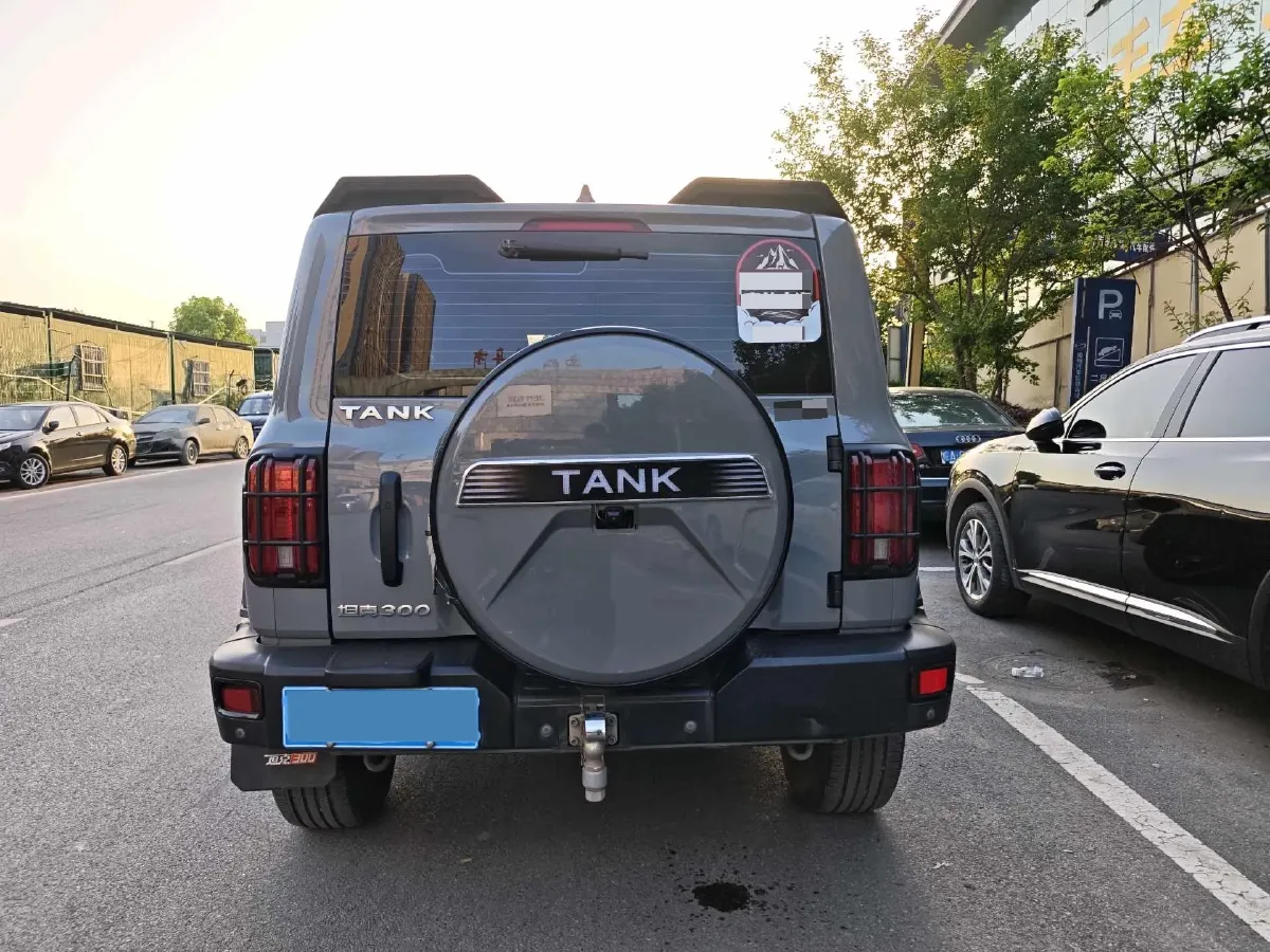 2021 Tank 300 2.0T 227HP L4 8AT,autocango,china used car exporter,china ev exporter,chinese used car exporter,chinese used ev exporter
