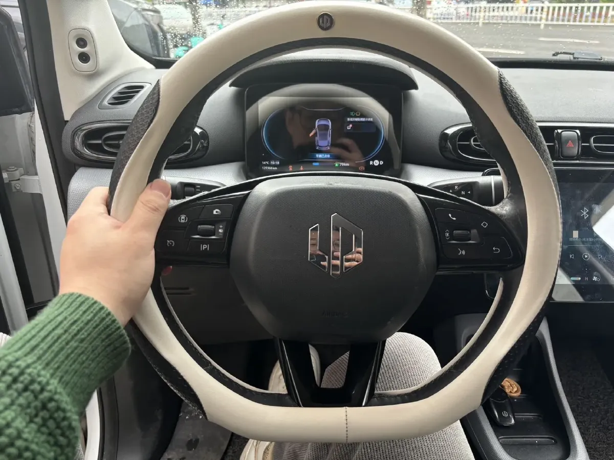 2020 Leapmotor T03 BEV 38KWH,autocango,china used car exporter,china ev exporter,chinese used car exporter,chinese used ev exporter