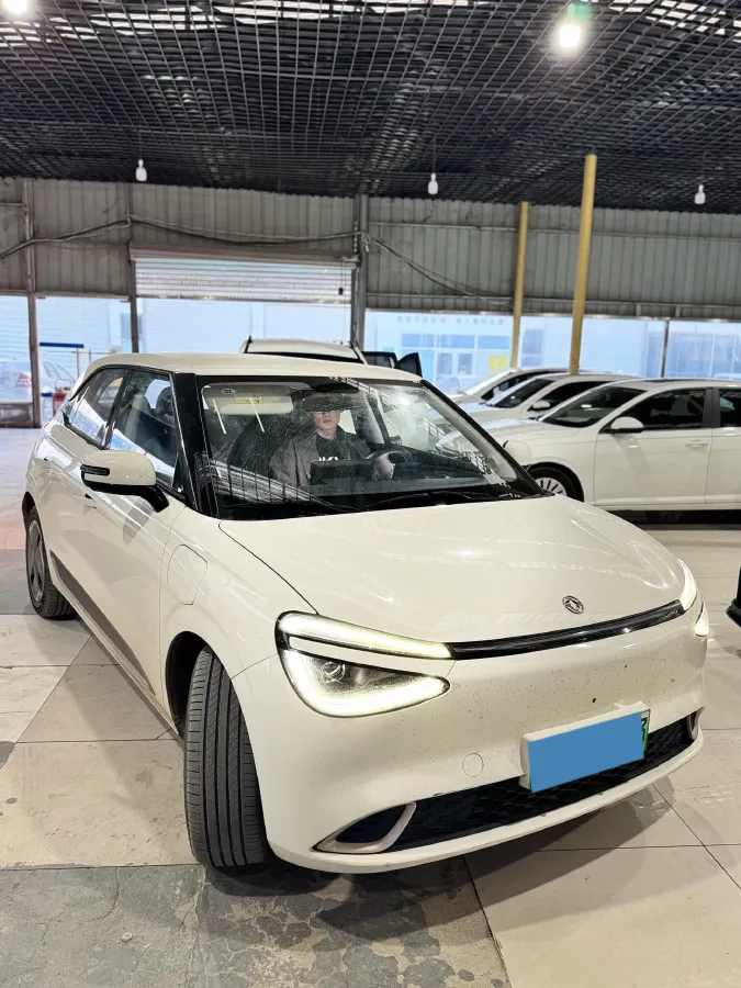 2024 DongFeng Nammi 01 BEV 42.3KWH,autocango,china used car exporter,china ev exporter,chinese used car exporter,chinese used ev exporter