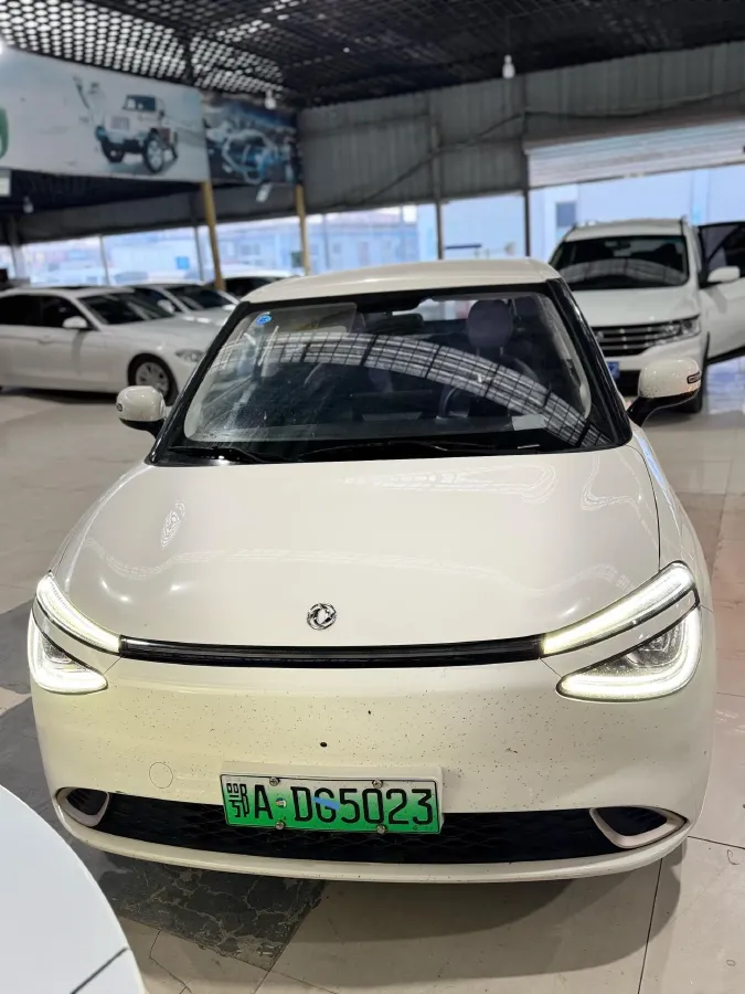 2024 DongFeng Nammi 01 BEV 42.3KWH,autocango,china used car exporter,china ev exporter,chinese used car exporter,chinese used ev exporter
