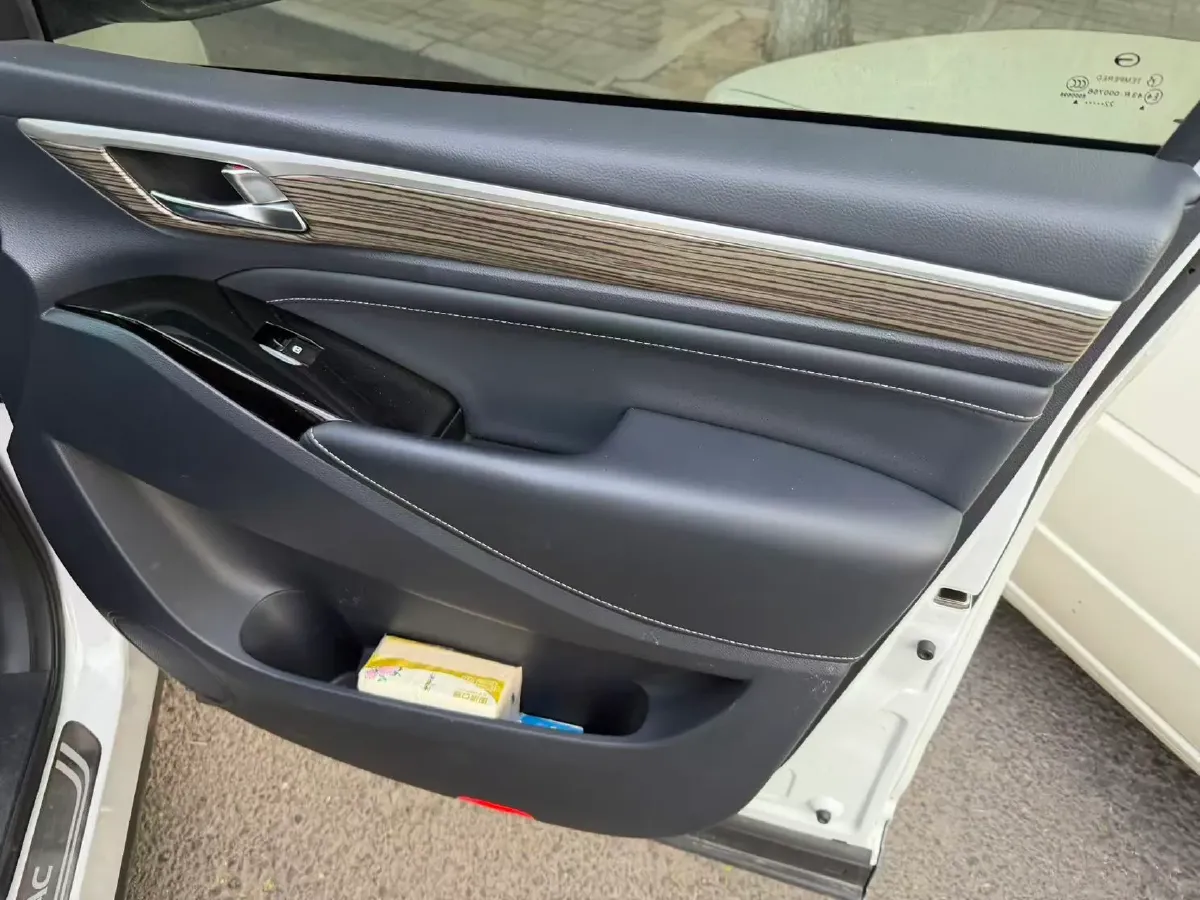 2021 GAC Trumpchi M8 2.0T 252HP L4 8AT,autocango,china used car exporter,china ev exporter,chinese used car exporter,chinese used ev exporter