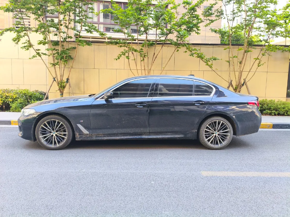2021 BMW 5 Series 2.0T 252HP L4 8AT,autocango,china used car exporter,china ev exporter,chinese used car exporter,chinese used ev exporter