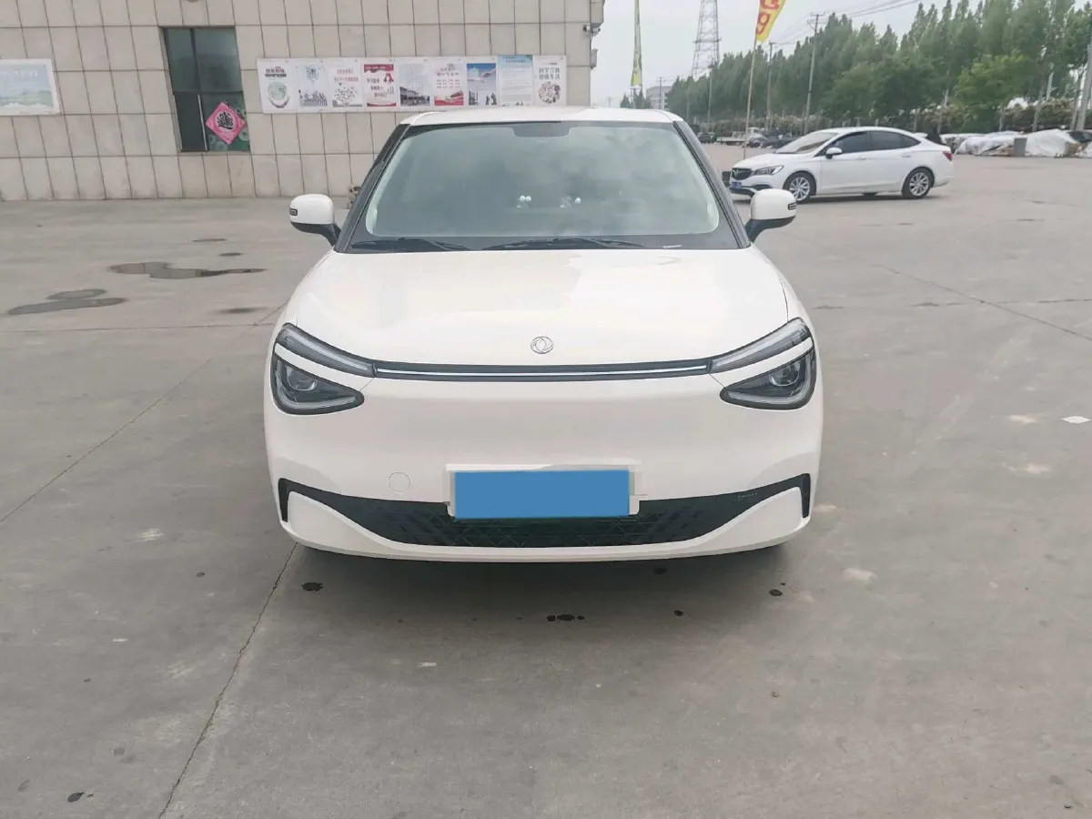 2024 DongFeng eπ 01 BEV 31.45KWH,autocango,china used car exporter,china ev exporter,chinese used car exporter,chinese used ev exporter