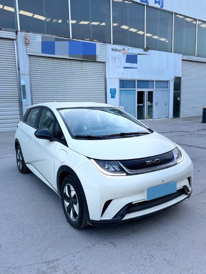 2025 BYD Dolphin BEV 44.928KWH,autocango,china used car exporter,china ev exporter,chinese used car exporter,chinese used ev exporter