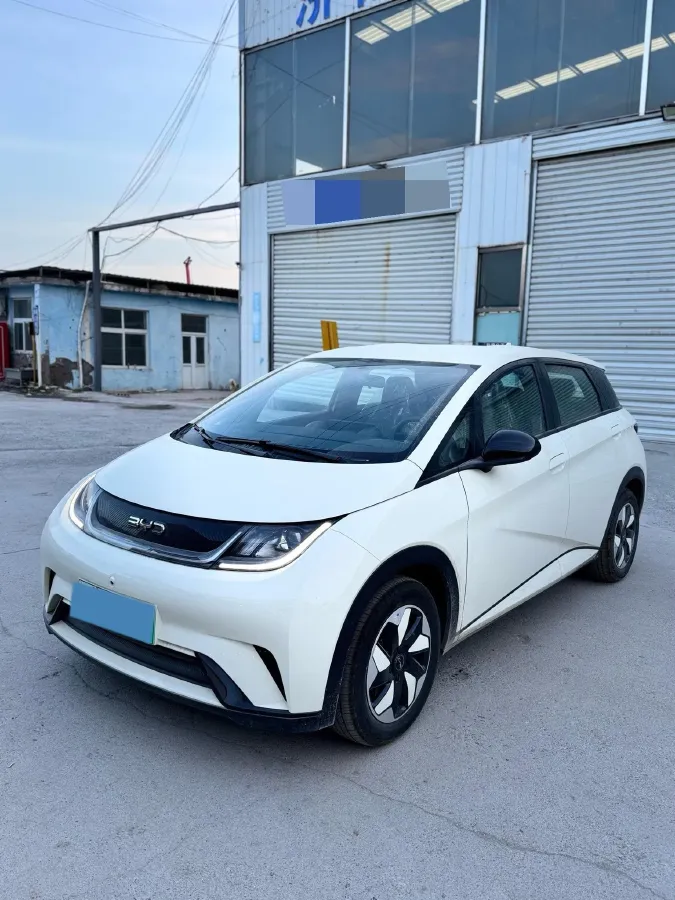 2025 BYD Dolphin BEV 44.928KWH,autocango,china used car exporter,china ev exporter,chinese used car exporter,chinese used ev exporter