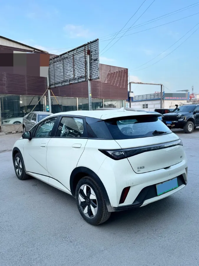 2025 BYD Dolphin BEV 44.928KWH,autocango,china used car exporter,china ev exporter,chinese used car exporter,chinese used ev exporter