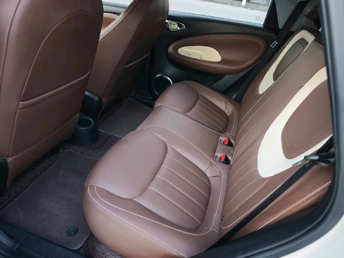 2023 WuLing BinGuo BEV 31.9KWH,autocango,china used car exporter,china ev exporter,chinese used car exporter,chinese used ev exporter