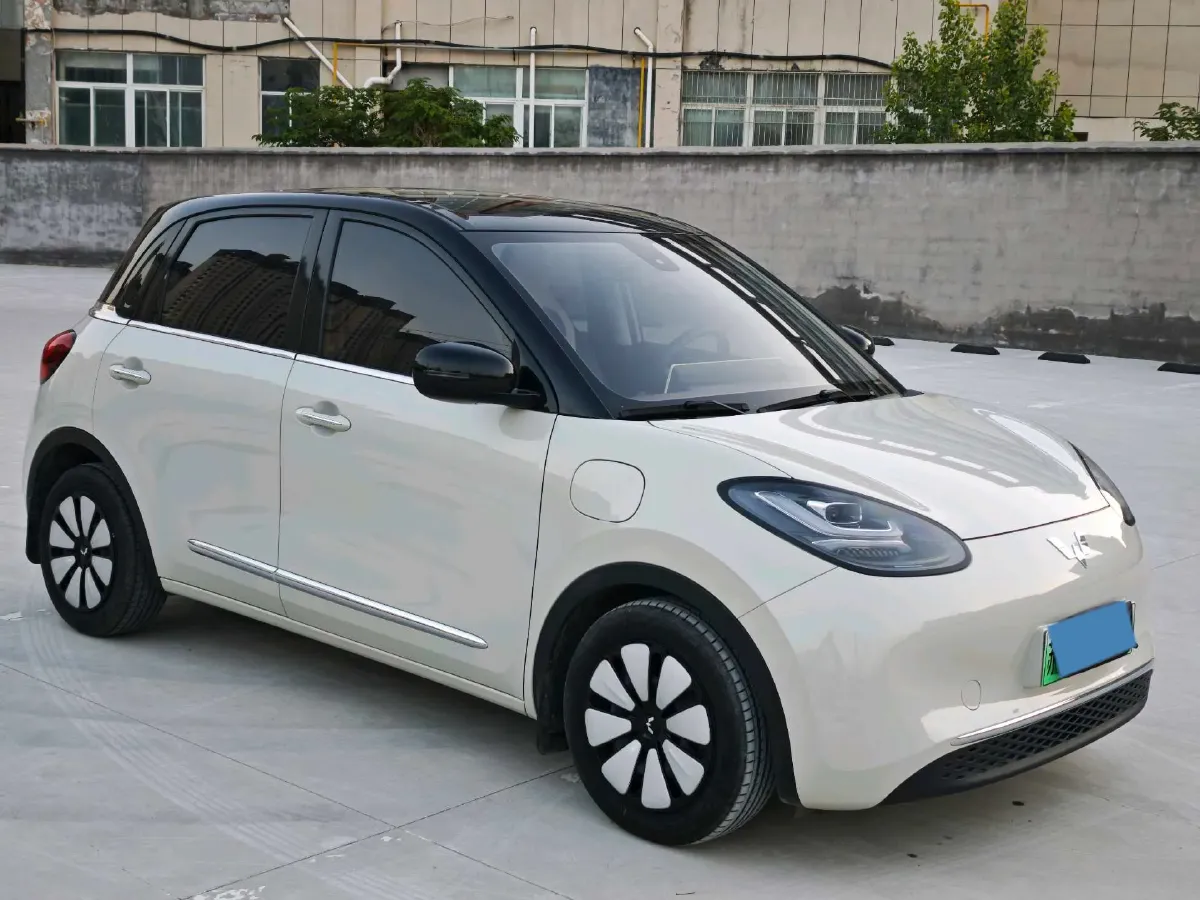 2023 WuLing BinGuo BEV 31.9KWH,autocango,china used car exporter,china ev exporter,chinese used car exporter,chinese used ev exporter