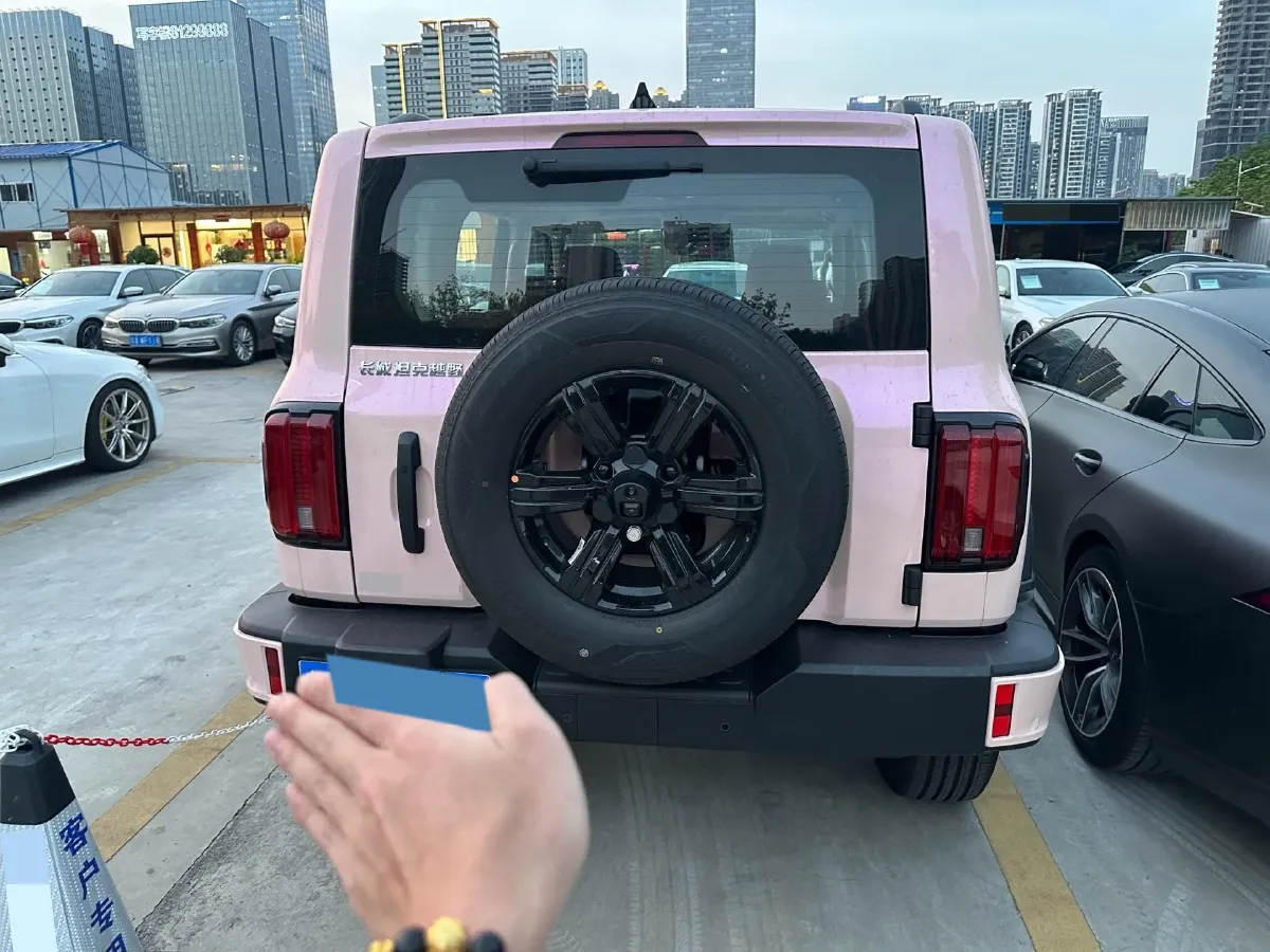 2024 Tank 300 2.0T 227HP L4 8AT,autocango,china used car exporter,china ev exporter,chinese used car exporter,chinese used ev exporter